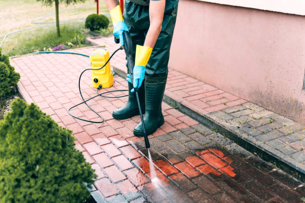 Best Driveway Pressure Washing  in Hilltop, SC
